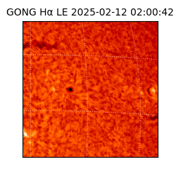 gong - 2025-02-12T02:00:42