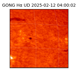 gong - 2025-02-12T04:00:02