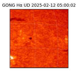 gong - 2025-02-12T05:00:02