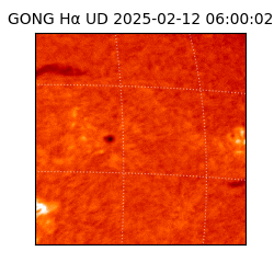 gong - 2025-02-12T06:00:02