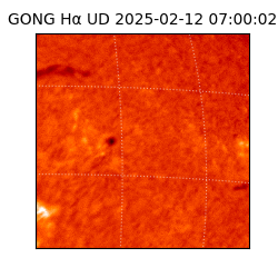 gong - 2025-02-12T07:00:02