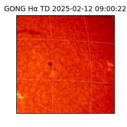 gong - 2025-02-12T09:00:22