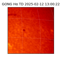 gong - 2025-02-12T13:00:22