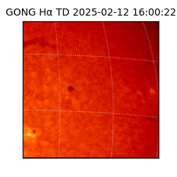 gong - 2025-02-12T16:00:22