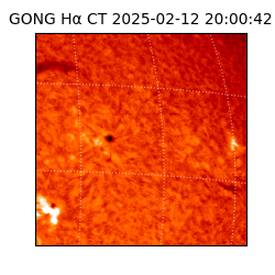 gong - 2025-02-12T20:00:42