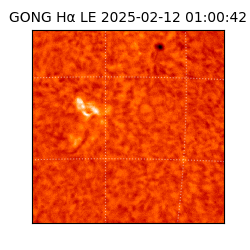 gong - 2025-02-12T01:00:42
