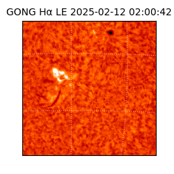 gong - 2025-02-12T02:00:42