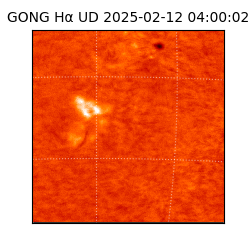 gong - 2025-02-12T04:00:02