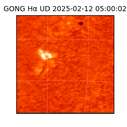 gong - 2025-02-12T05:00:02