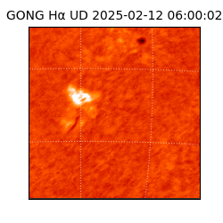 gong - 2025-02-12T06:00:02