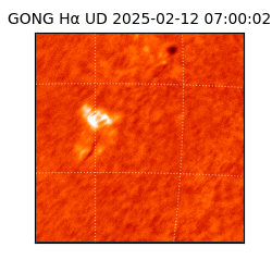 gong - 2025-02-12T07:00:02