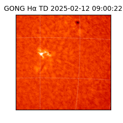 gong - 2025-02-12T09:00:22