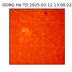 gong - 2025-02-12T13:00:22