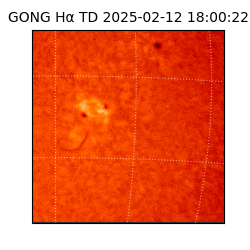 gong - 2025-02-12T18:00:22