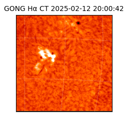 gong - 2025-02-12T20:00:42