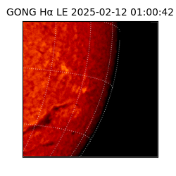 gong - 2025-02-12T01:00:42