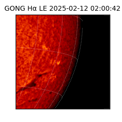 gong - 2025-02-12T02:00:42