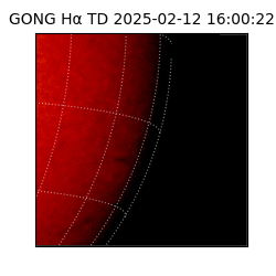 gong - 2025-02-12T16:00:22