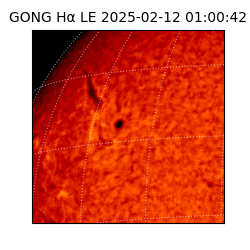 gong - 2025-02-12T01:00:42