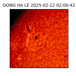 gong - 2025-02-12T02:00:42