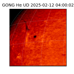 gong - 2025-02-12T04:00:02