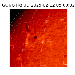 gong - 2025-02-12T05:00:02