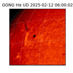 gong - 2025-02-12T06:00:02
