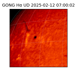 gong - 2025-02-12T07:00:02