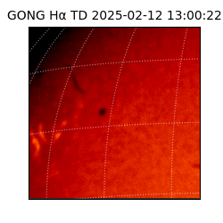 gong - 2025-02-12T13:00:22
