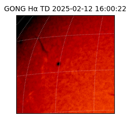 gong - 2025-02-12T16:00:22