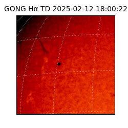 gong - 2025-02-12T18:00:22