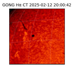 gong - 2025-02-12T20:00:42