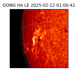 gong - 2025-02-12T01:00:42