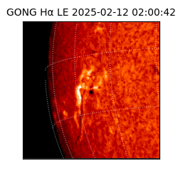 gong - 2025-02-12T02:00:42
