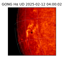 gong - 2025-02-12T04:00:02