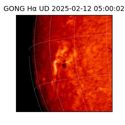 gong - 2025-02-12T05:00:02