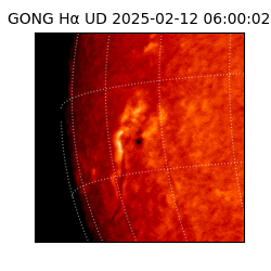 gong - 2025-02-12T06:00:02