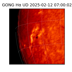 gong - 2025-02-12T07:00:02