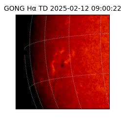 gong - 2025-02-12T09:00:22