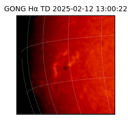 gong - 2025-02-12T13:00:22