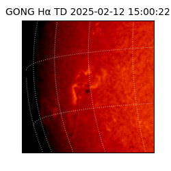 gong - 2025-02-12T15:00:22