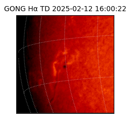 gong - 2025-02-12T16:00:22