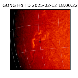 gong - 2025-02-12T18:00:22