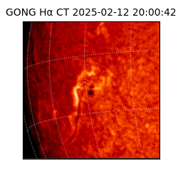 gong - 2025-02-12T20:00:42