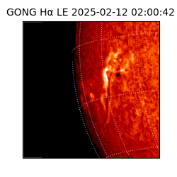 gong - 2025-02-12T02:00:42