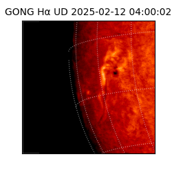 gong - 2025-02-12T04:00:02