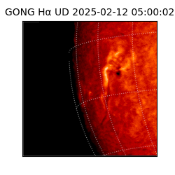 gong - 2025-02-12T05:00:02