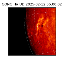 gong - 2025-02-12T06:00:02