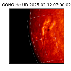 gong - 2025-02-12T07:00:02