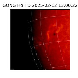 gong - 2025-02-12T13:00:22